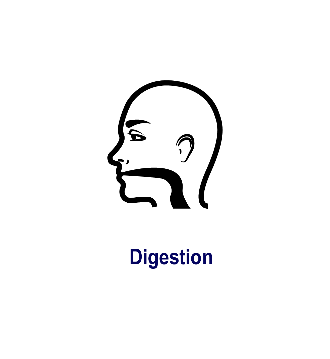 digestion